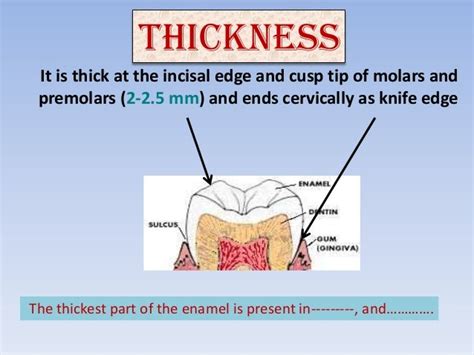 enamel hardness test|how thick is tooth enamel.